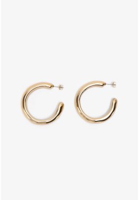 Sleek Golden Earrings